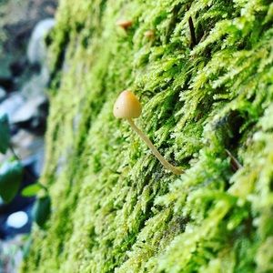 Meet your Posher, Jacklyn